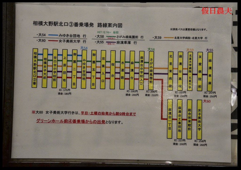 【東京旅遊】神奈川県立相模原公園．絕美落羽松並木大道/秋季限定/免費觀景台 @假日農夫愛趴趴照