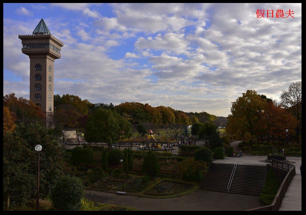 【東京旅遊】神奈川県立相模原公園．絕美落羽松並木大道/秋季限定/免費觀景台 @假日農夫愛趴趴照