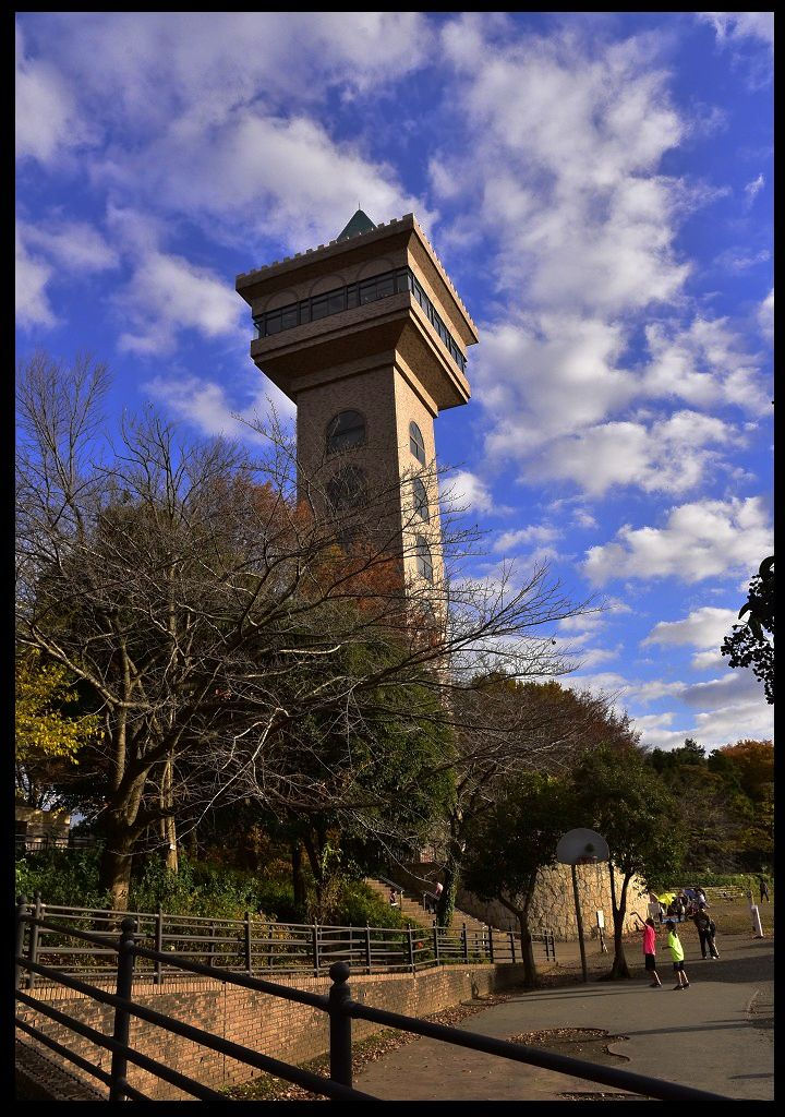 【東京旅遊】神奈川県立相模原公園．絕美落羽松並木大道/秋季限定/免費觀景台 @假日農夫愛趴趴照