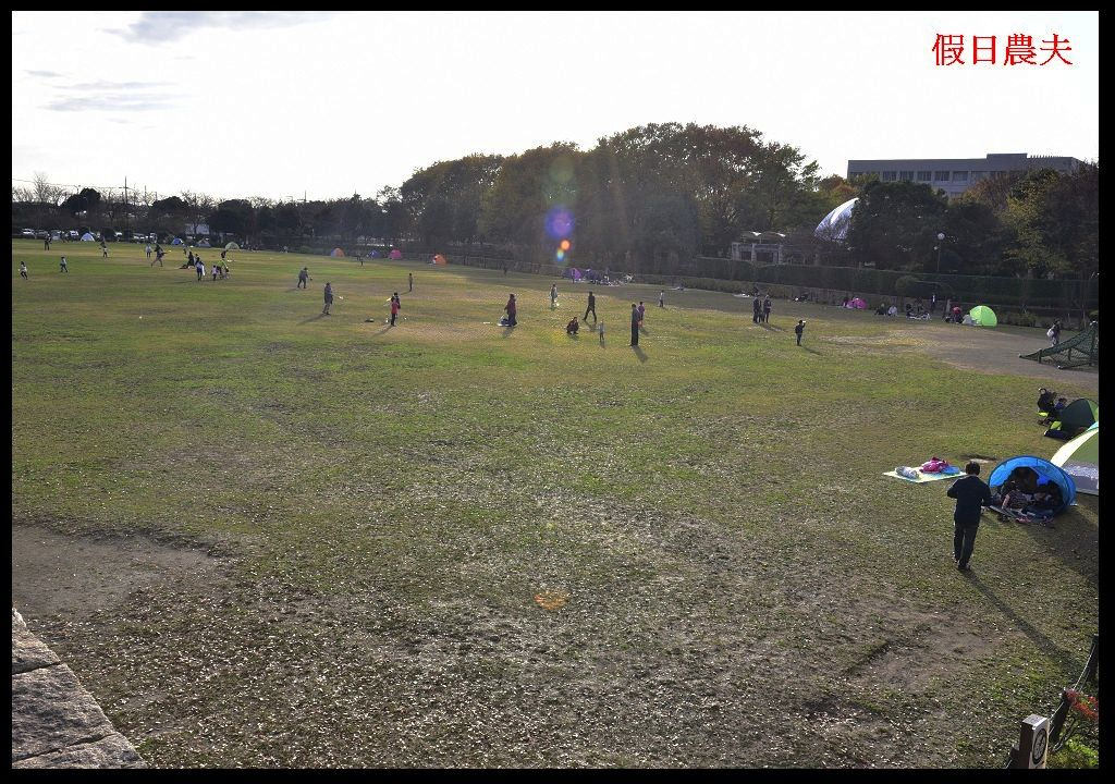 【東京旅遊】神奈川県立相模原公園．絕美落羽松並木大道/秋季限定/免費觀景台 @假日農夫愛趴趴照