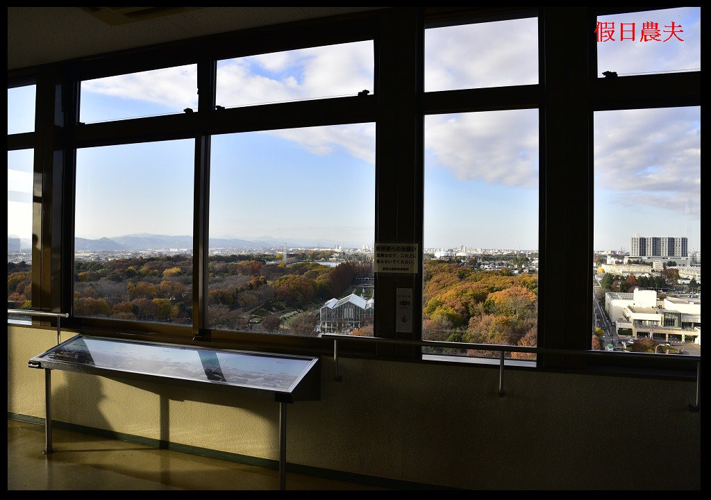 【東京旅遊】神奈川県立相模原公園．絕美落羽松並木大道/秋季限定/免費觀景台 @假日農夫愛趴趴照