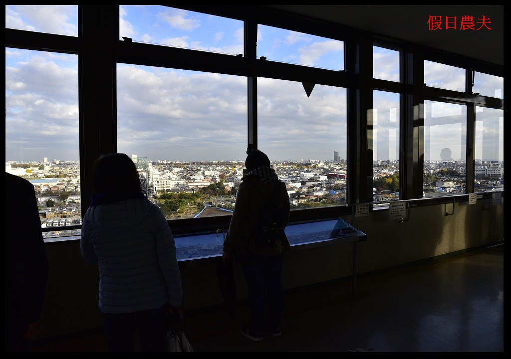 【東京旅遊】神奈川県立相模原公園．絕美落羽松並木大道/秋季限定/免費觀景台 @假日農夫愛趴趴照