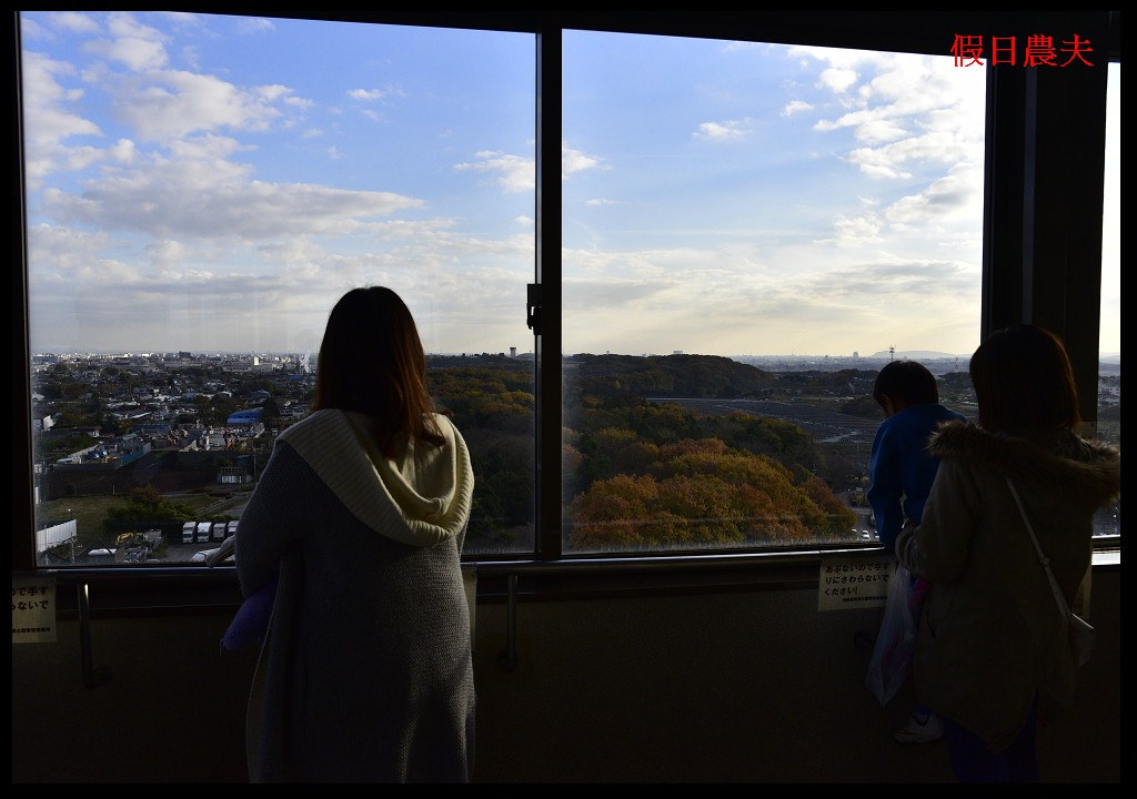 【東京旅遊】神奈川県立相模原公園．絕美落羽松並木大道/秋季限定/免費觀景台 @假日農夫愛趴趴照