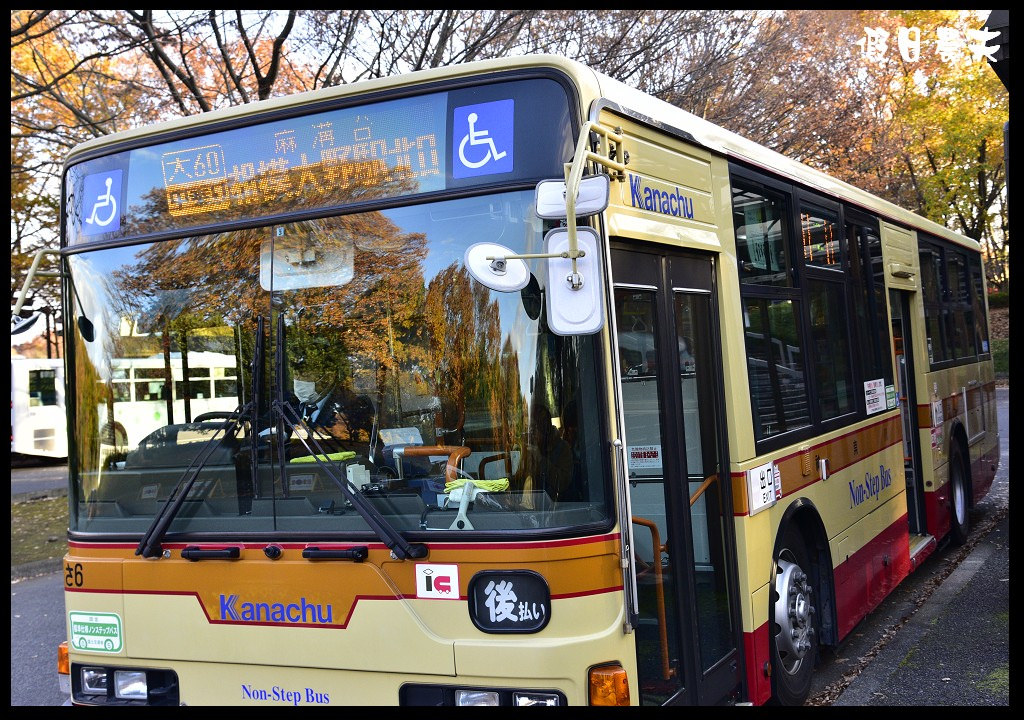 【東京旅遊】神奈川県立相模原公園．絕美落羽松並木大道/秋季限定/免費觀景台 @假日農夫愛趴趴照