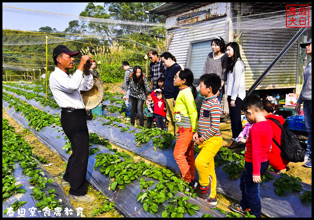 苗栗景點|三義春田窯陶藝休閒渡假園區．食農教育有趣又好玩/草莓糖葫蘆DIY @假日農夫愛趴趴照