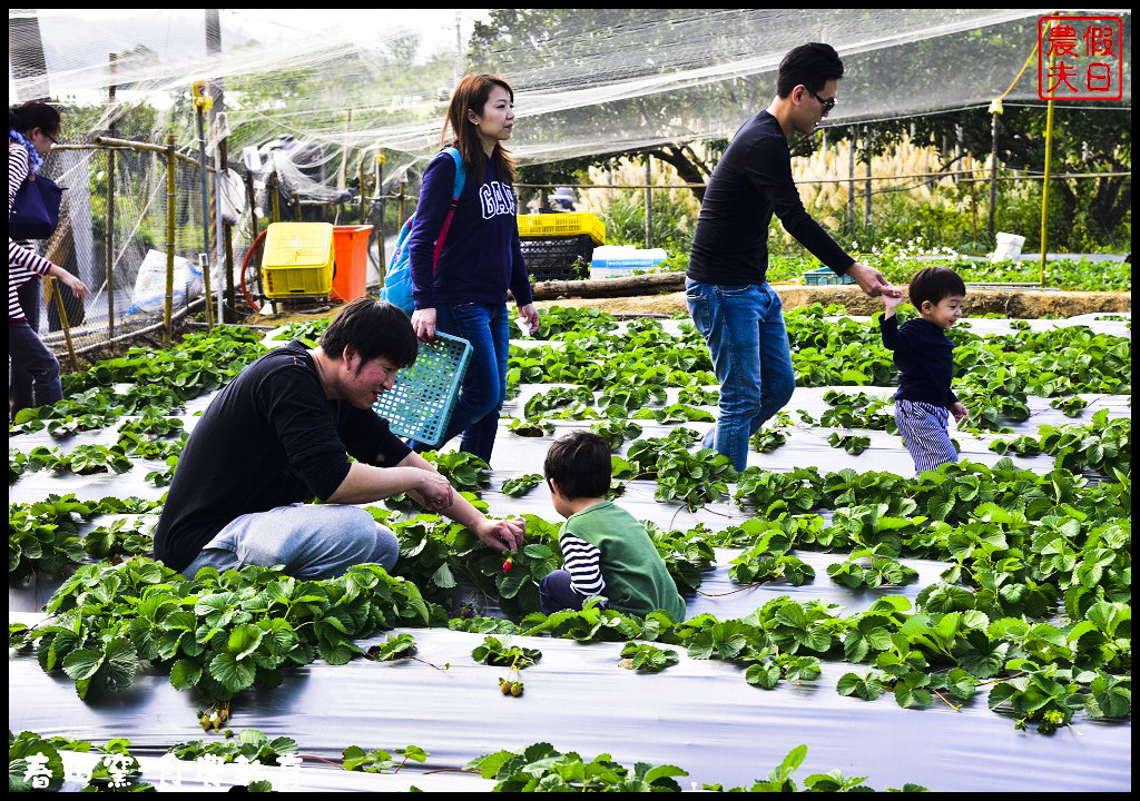 苗栗景點|三義春田窯陶藝休閒渡假園區．食農教育有趣又好玩/草莓糖葫蘆DIY @假日農夫愛趴趴照