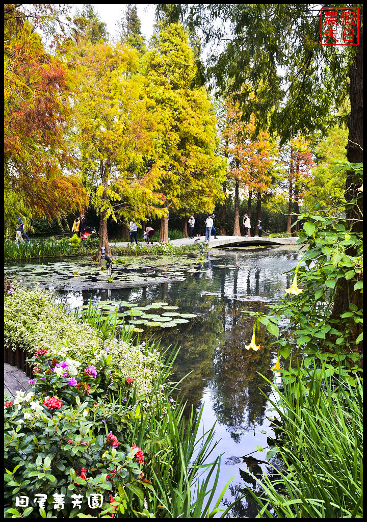 【彰化景點】田尾菁芳園．漂亮好拍的新咖啡館悠閒享用下午茶/落羽松/一日遊/IG打卡 @假日農夫愛趴趴照