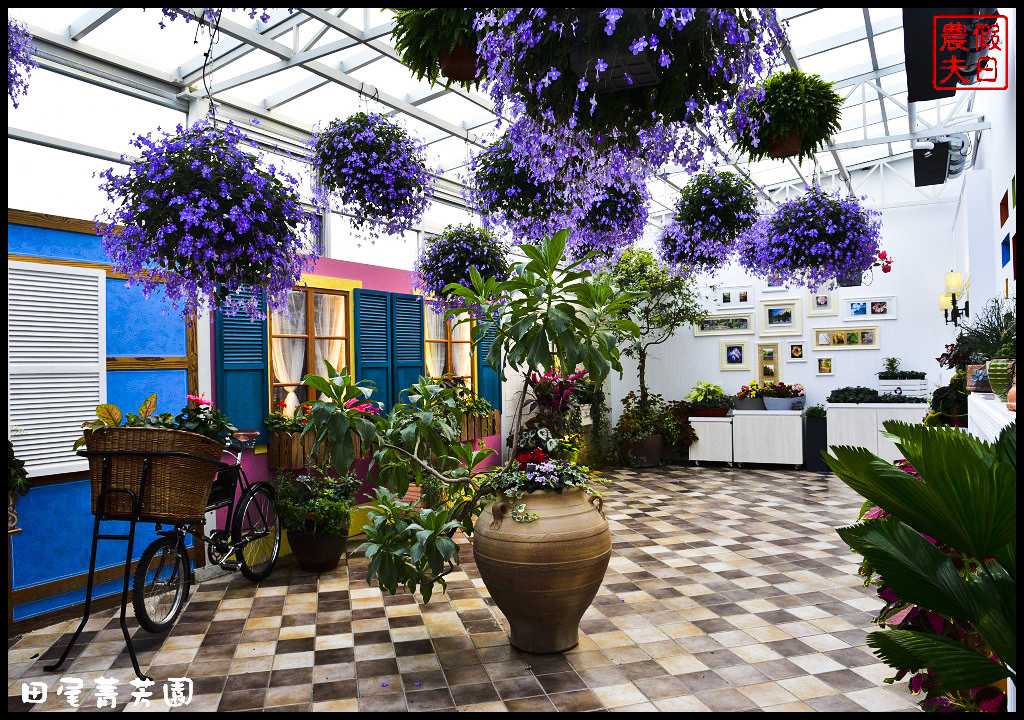 【彰化景點】田尾菁芳園．漂亮好拍的新咖啡館悠閒享用下午茶/落羽松/一日遊/IG打卡 @假日農夫愛趴趴照