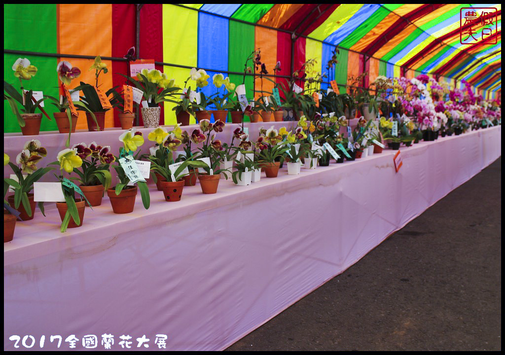 【農夫愛賞花】南投草屯樸提蘭園．2017狐狸尾蘭全國蘭花大展．國際蘭藝大賞得獎作品免費參觀/免費參觀/一日遊 @假日農夫愛趴趴照