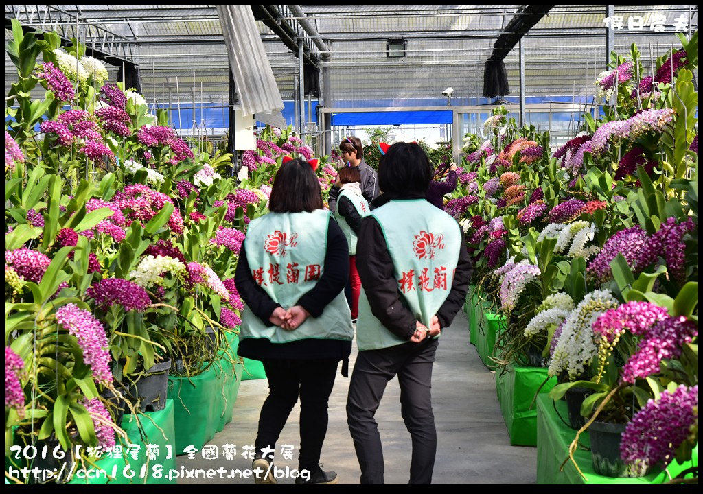 【農夫愛賞花】南投草屯樸提蘭園．2017狐狸尾蘭全國蘭花大展．國際蘭藝大賞得獎作品免費參觀/免費參觀/一日遊 @假日農夫愛趴趴照