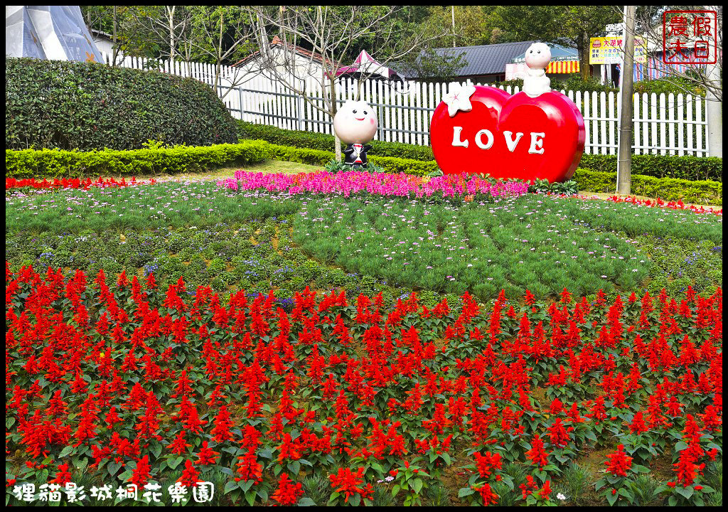 【苗栗銅鑼景點】舊瓶裝新酒．客家大院變身貓狸影城桐花樂園/貓裏喵/希臘風情造景/迎春花海/一日遊 @假日農夫愛趴趴照