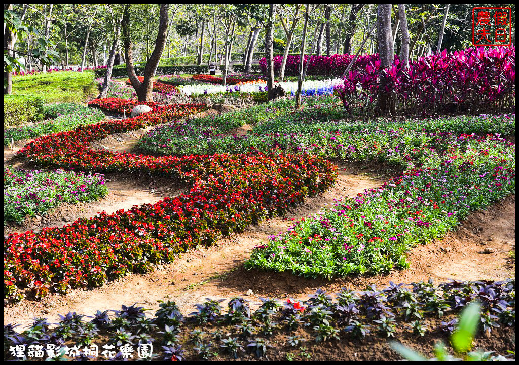 【苗栗銅鑼景點】舊瓶裝新酒．客家大院變身貓狸影城桐花樂園/貓裏喵/希臘風情造景/迎春花海/一日遊 @假日農夫愛趴趴照