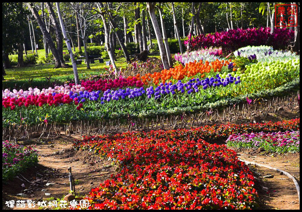 【苗栗銅鑼景點】舊瓶裝新酒．客家大院變身貓狸影城桐花樂園/貓裏喵/希臘風情造景/迎春花海/一日遊 @假日農夫愛趴趴照