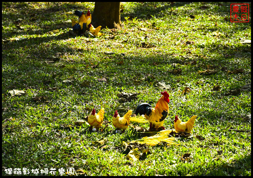 【苗栗銅鑼景點】舊瓶裝新酒．客家大院變身貓狸影城桐花樂園/貓裏喵/希臘風情造景/迎春花海/一日遊 @假日農夫愛趴趴照