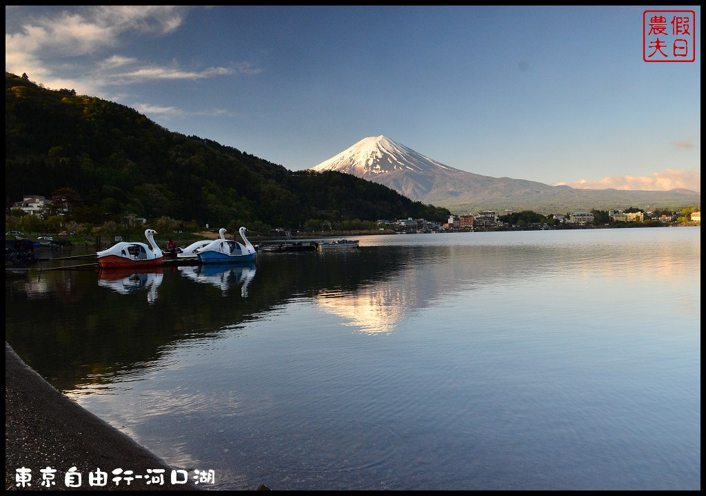 【日本旅遊】東京自由行．河口湖廣場假日酒店/天上山公園/富士山/JR廣域周遊券/富士急行線/富士芝櫻祭/逆富士 @假日農夫愛趴趴照