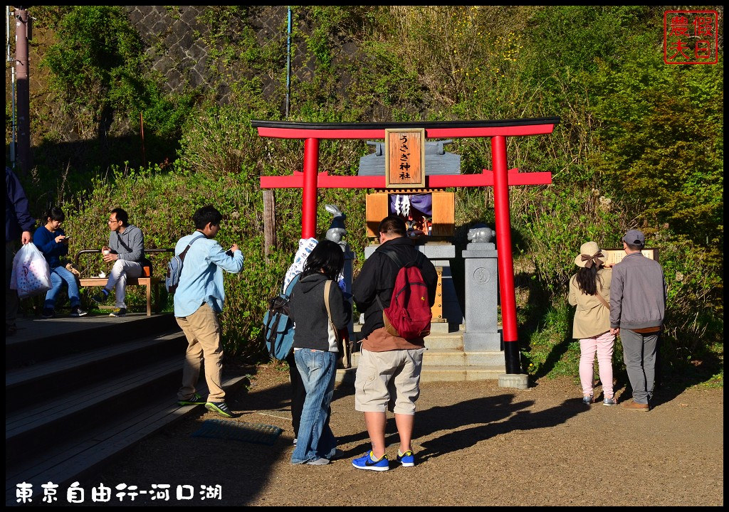 【日本旅遊】東京自由行．河口湖廣場假日酒店/天上山公園/富士山/JR廣域周遊券/富士急行線/富士芝櫻祭/逆富士 @假日農夫愛趴趴照