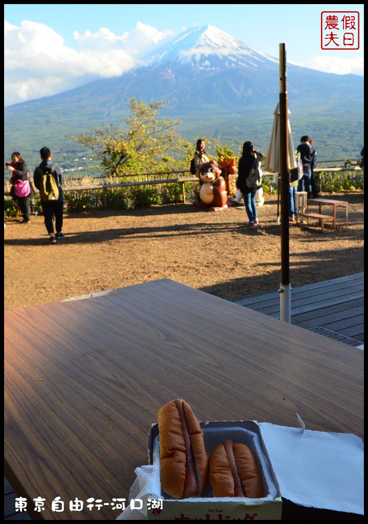 【日本旅遊】東京自由行．河口湖廣場假日酒店/天上山公園/富士山/JR廣域周遊券/富士急行線/富士芝櫻祭/逆富士 @假日農夫愛趴趴照