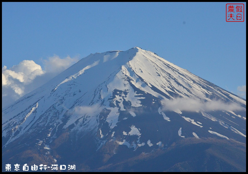 【日本旅遊】東京自由行．河口湖廣場假日酒店/天上山公園/富士山/JR廣域周遊券/富士急行線/富士芝櫻祭/逆富士 @假日農夫愛趴趴照