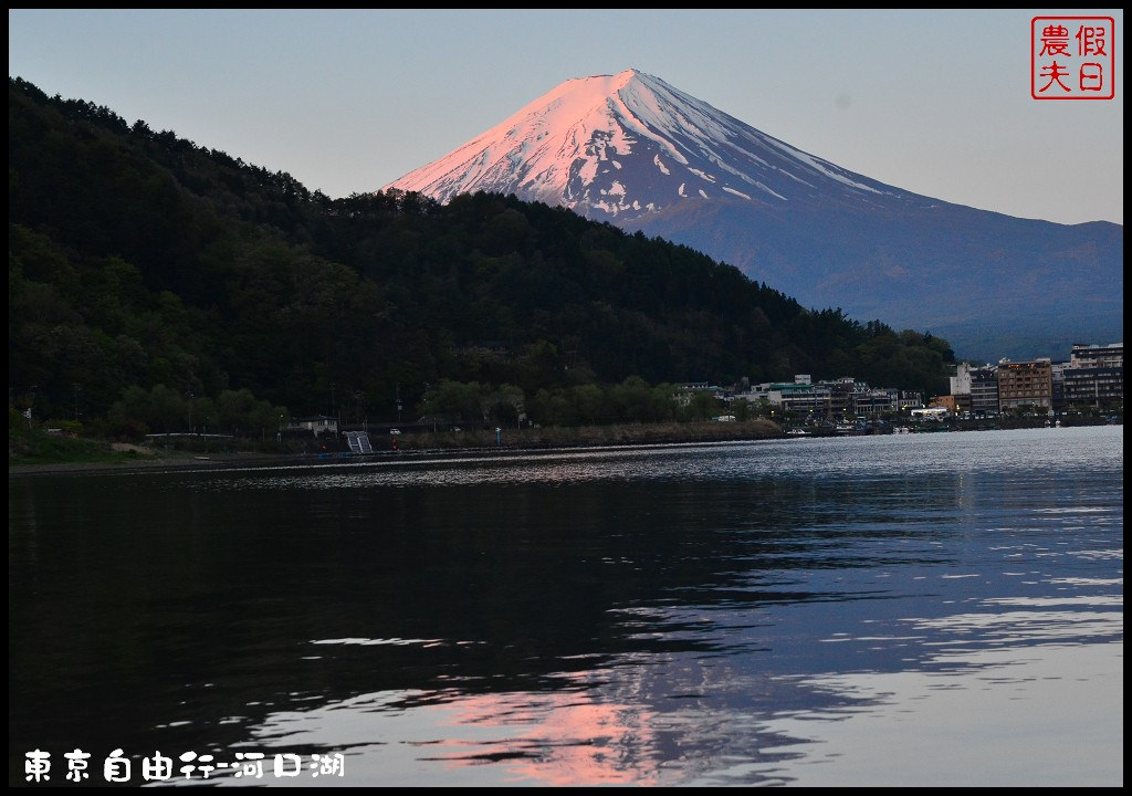 【日本旅遊】東京自由行．河口湖廣場假日酒店/天上山公園/富士山/JR廣域周遊券/富士急行線/富士芝櫻祭/逆富士 @假日農夫愛趴趴照