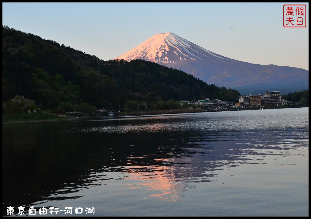 【日本旅遊】東京自由行．河口湖廣場假日酒店/天上山公園/富士山/JR廣域周遊券/富士急行線/富士芝櫻祭/逆富士 @假日農夫愛趴趴照