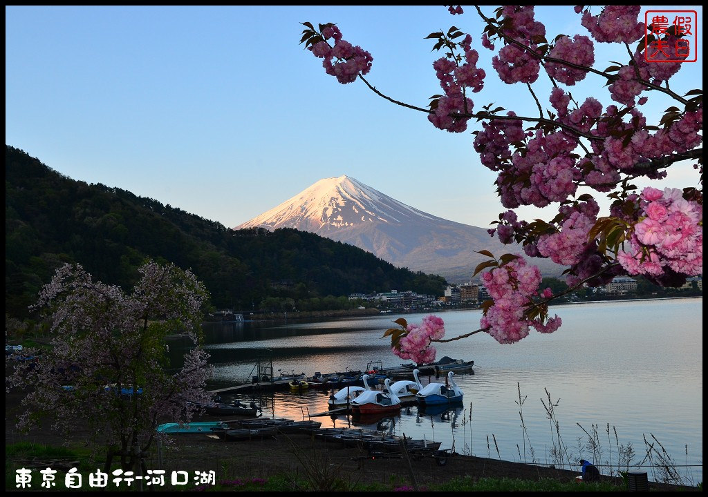 【日本旅遊】東京自由行．河口湖廣場假日酒店/天上山公園/富士山/JR廣域周遊券/富士急行線/富士芝櫻祭/逆富士 @假日農夫愛趴趴照