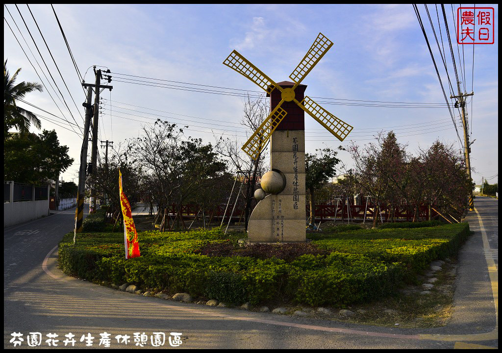 芬園花卉生產休憩園區．150公尺洲府枝垂櫻櫻花隧道浪漫登場 @假日農夫愛趴趴照