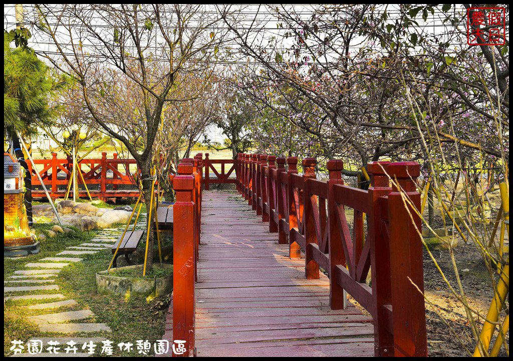 芬園花卉生產休憩園區．150公尺洲府枝垂櫻櫻花隧道浪漫登場 @假日農夫愛趴趴照