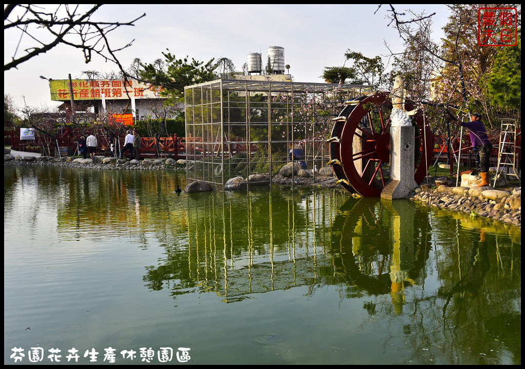 芬園花卉生產休憩園區．150公尺洲府枝垂櫻櫻花隧道浪漫登場 @假日農夫愛趴趴照