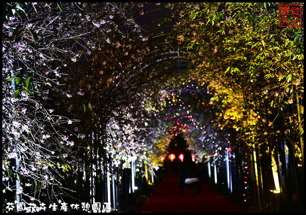 芬園花卉生產休憩園區．150公尺洲府枝垂櫻櫻花隧道浪漫登場 @假日農夫愛趴趴照