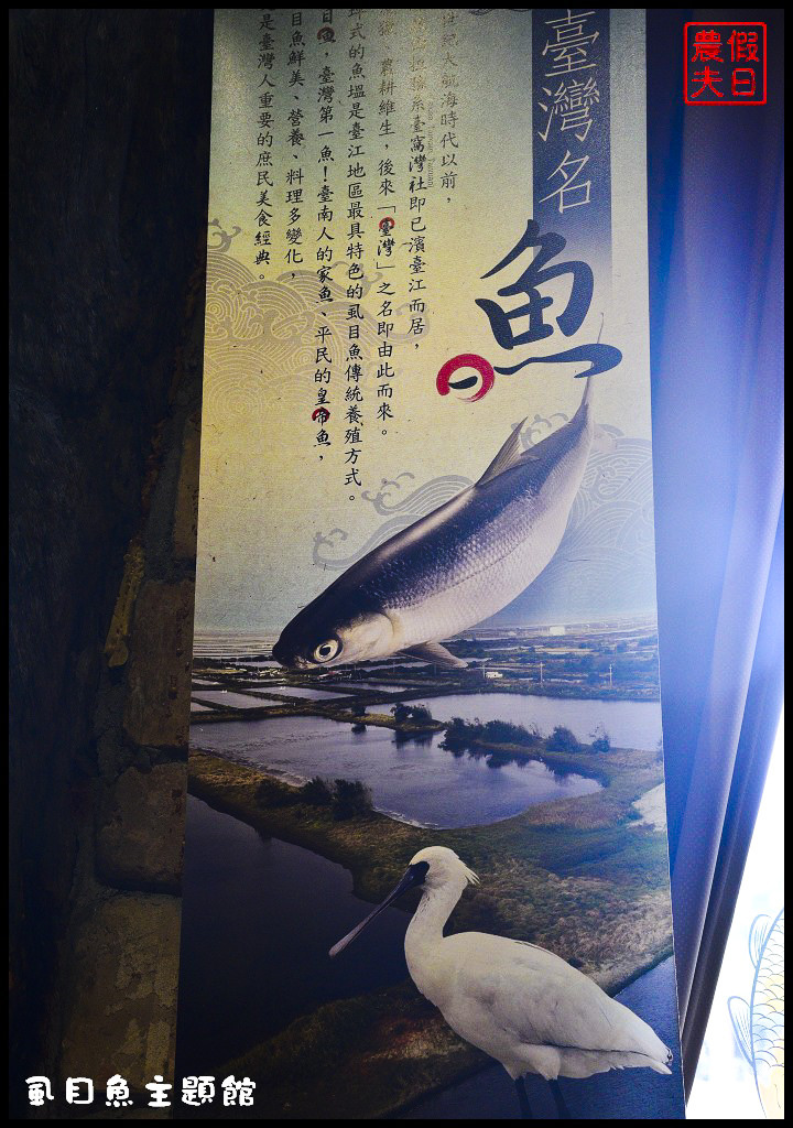 【台南景點】虱目魚主題館．一座漂浮的海洋圖書館/免門票免費參觀/漂流木石頭牡蠣殼/億載金城/一日遊/親子遊 @假日農夫愛趴趴照