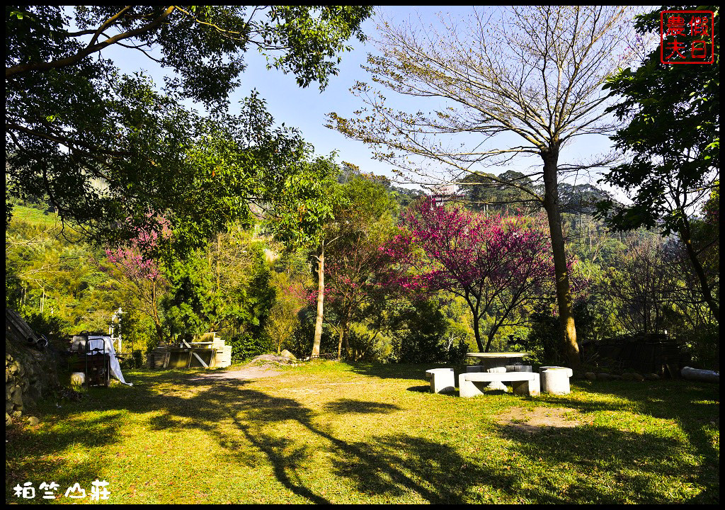 【苗栗住宿】三義柏竺山莊．像家一樣的民宿/可包棟民宿/螢火蟲/櫻花 @假日農夫愛趴趴照