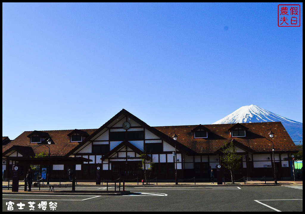 【日本旅遊】富士芝櫻祭．80萬株芝櫻好美好壯觀/行程規劃/花期花況/門票票價交通全攻略/一日遊 @假日農夫愛趴趴照