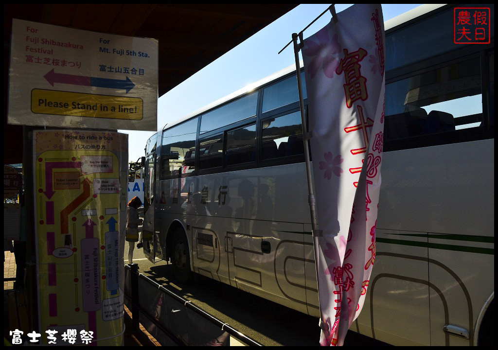 【日本旅遊】富士芝櫻祭．80萬株芝櫻好美好壯觀/行程規劃/花期花況/門票票價交通全攻略/一日遊 @假日農夫愛趴趴照