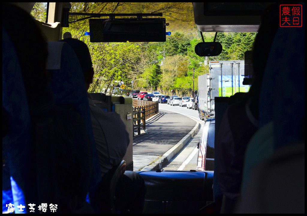 【日本旅遊】富士芝櫻祭．80萬株芝櫻好美好壯觀/行程規劃/花期花況/門票票價交通全攻略/一日遊 @假日農夫愛趴趴照