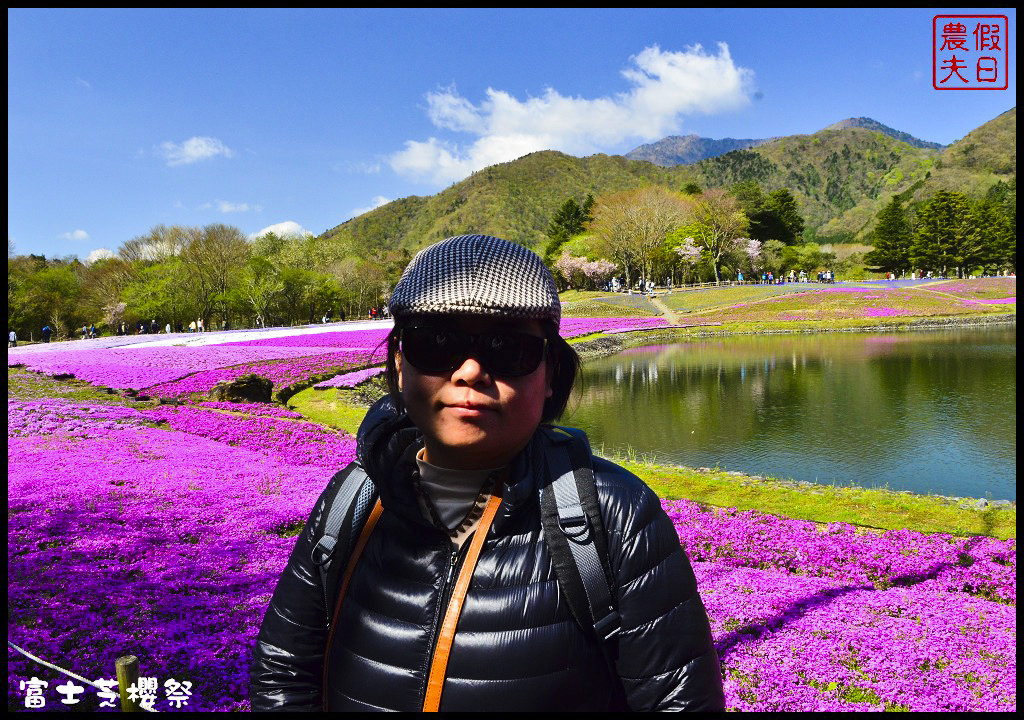 【日本旅遊】富士芝櫻祭．80萬株芝櫻好美好壯觀/行程規劃/花期花況/門票票價交通全攻略/一日遊 @假日農夫愛趴趴照