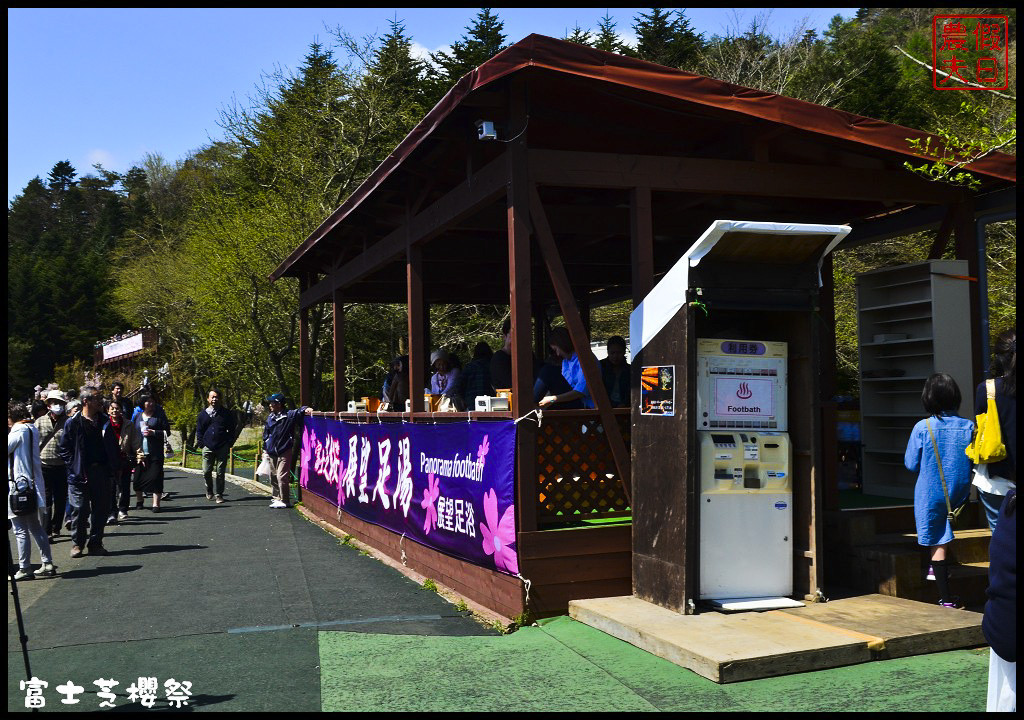 【日本旅遊】富士芝櫻祭．80萬株芝櫻好美好壯觀/行程規劃/花期花況/門票票價交通全攻略/一日遊 @假日農夫愛趴趴照