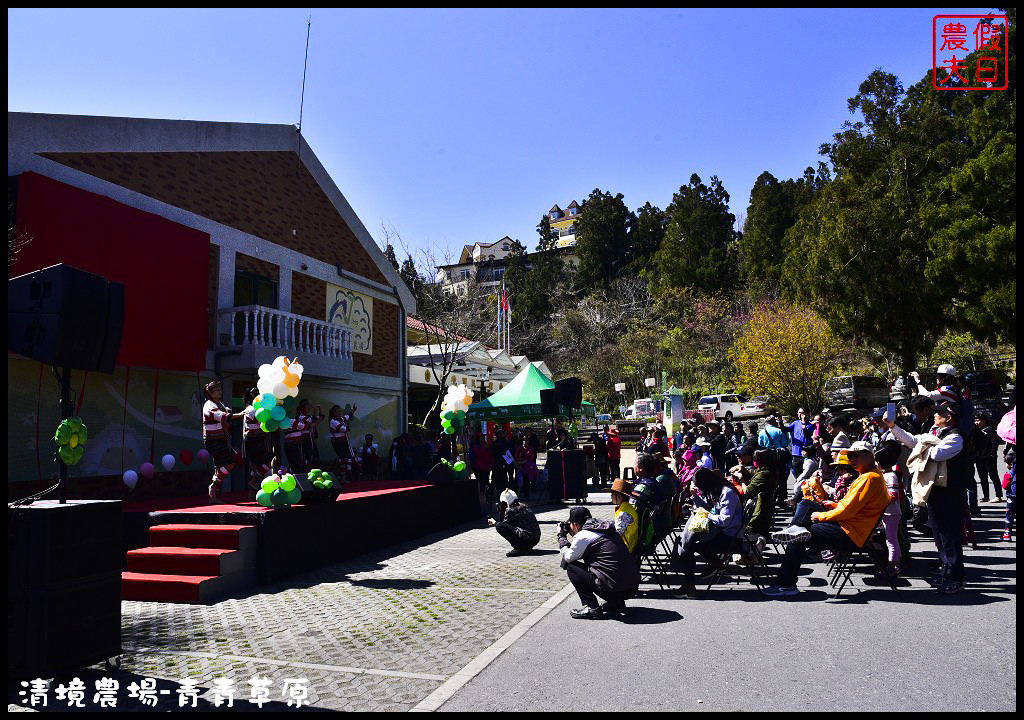 【南投旅遊】清境奔羊節．青青草原綿羊秀/清境高空觀景步道全台最高無障礙高山空中步道/一日遊/二日遊/親子遊 @假日農夫愛趴趴照