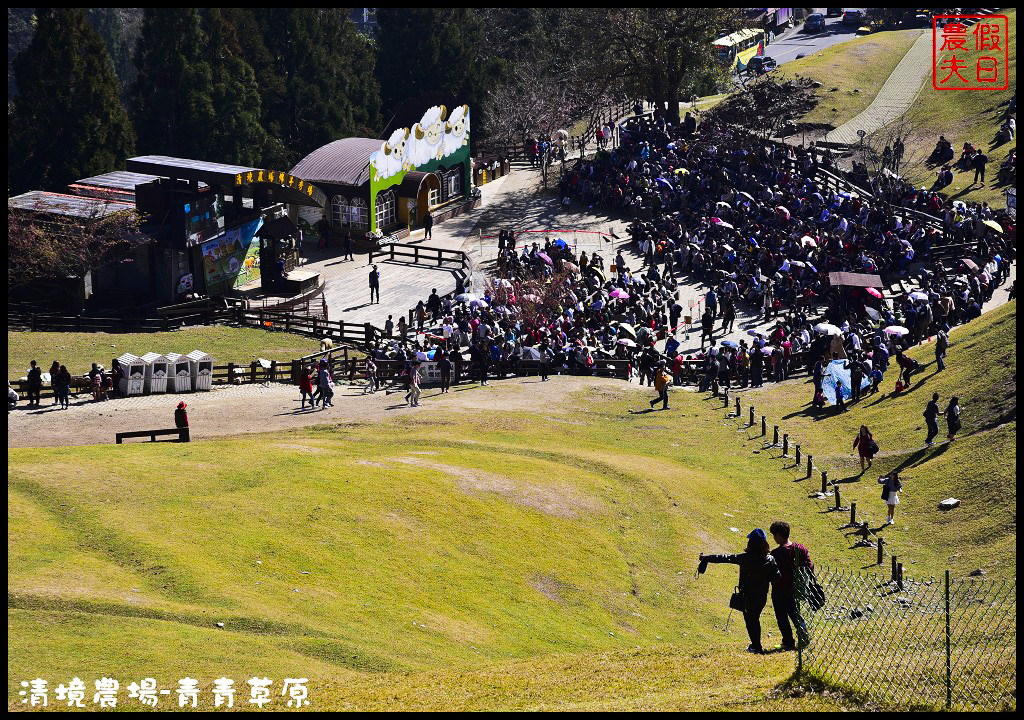 【南投旅遊】清境奔羊節．青青草原綿羊秀/清境高空觀景步道全台最高無障礙高山空中步道/一日遊/二日遊/親子遊 @假日農夫愛趴趴照