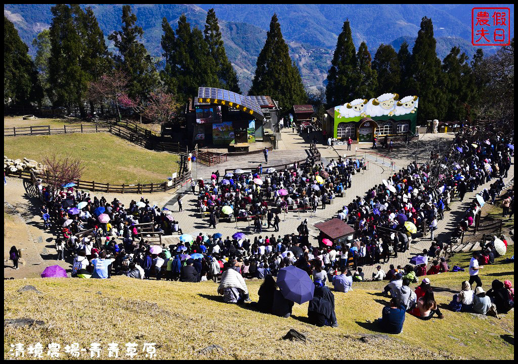 【南投旅遊】清境奔羊節．青青草原綿羊秀/清境高空觀景步道全台最高無障礙高山空中步道/一日遊/二日遊/親子遊 @假日農夫愛趴趴照