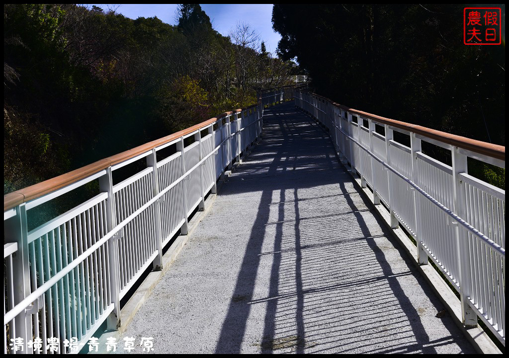 【南投旅遊】清境奔羊節．青青草原綿羊秀/清境高空觀景步道全台最高無障礙高山空中步道/一日遊/二日遊/親子遊 @假日農夫愛趴趴照