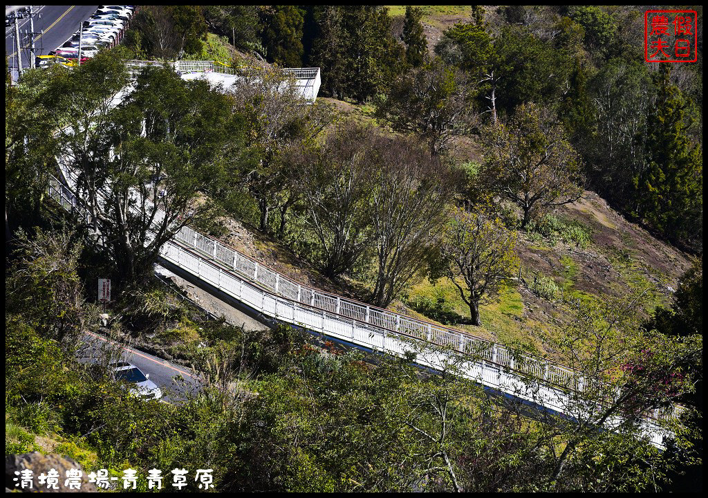 【南投旅遊】清境奔羊節．青青草原綿羊秀/清境高空觀景步道全台最高無障礙高山空中步道/一日遊/二日遊/親子遊 @假日農夫愛趴趴照