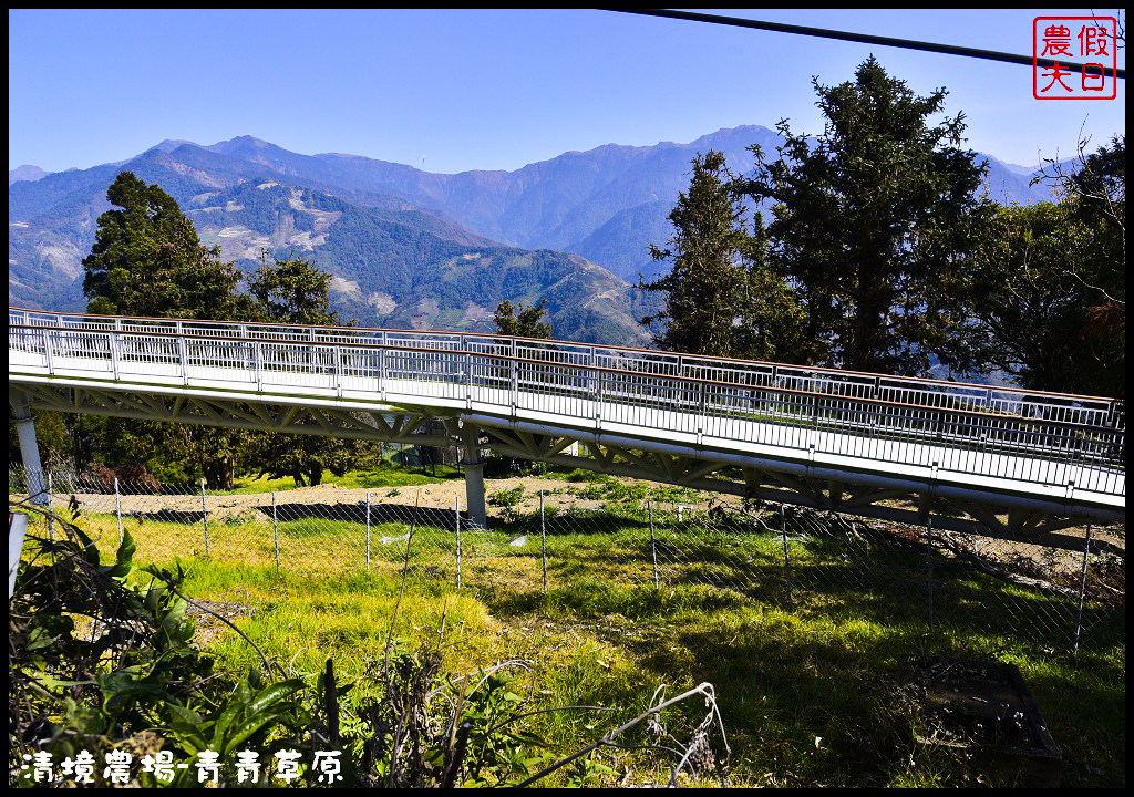 【南投旅遊】清境奔羊節．青青草原綿羊秀/清境高空觀景步道全台最高無障礙高山空中步道/一日遊/二日遊/親子遊 @假日農夫愛趴趴照