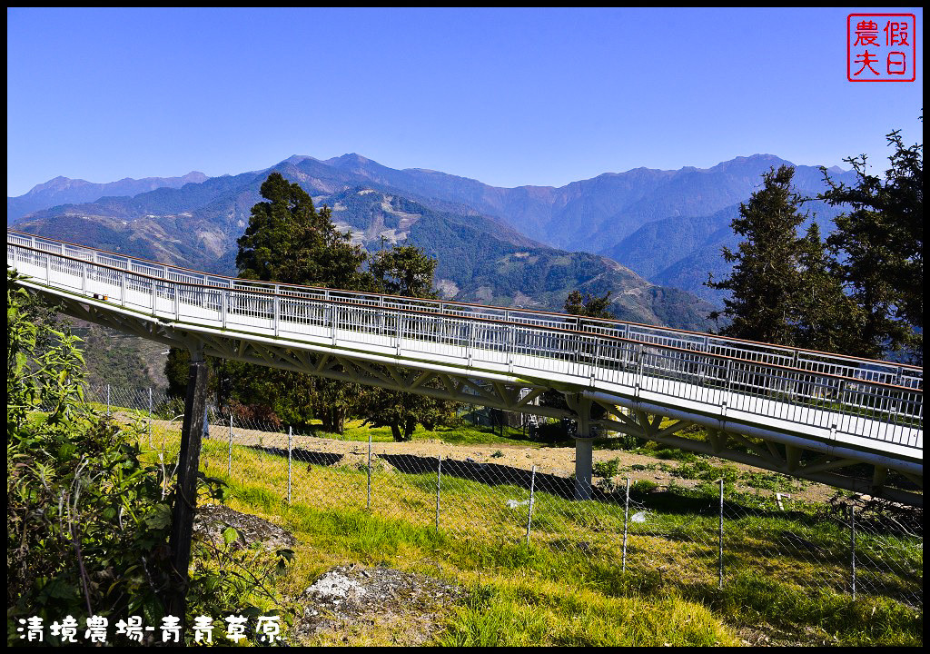 【南投旅遊】清境奔羊節．青青草原綿羊秀/清境高空觀景步道全台最高無障礙高山空中步道/一日遊/二日遊/親子遊 @假日農夫愛趴趴照