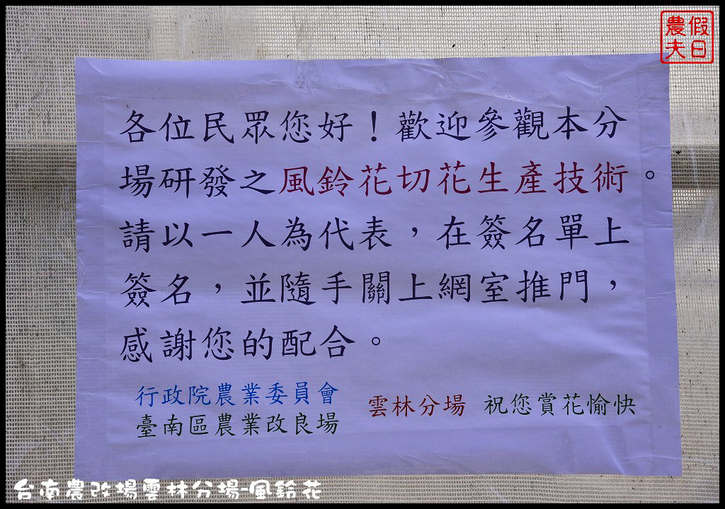 【雲林景點】超夢幻彩虹花田現身在斗南．台南區農業改良場雲林分場-風鈴花/免費參觀/一日遊/親子遊 @假日農夫愛趴趴照