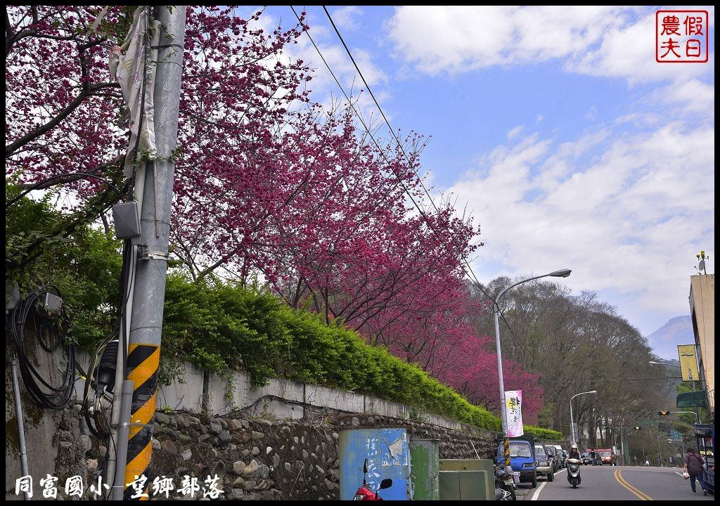 【南投景點】同富國小．望鄉部落櫻花盛開中．像是汽車廣告拍攝場景/香水櫻/一日遊 @假日農夫愛趴趴照