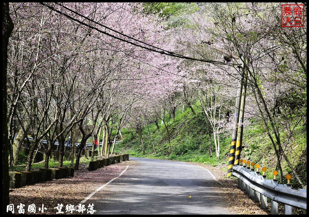 【南投景點】同富國小．望鄉部落櫻花盛開中．像是汽車廣告拍攝場景/香水櫻/一日遊 @假日農夫愛趴趴照