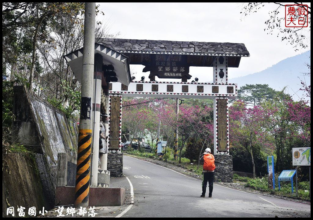 【南投景點】同富國小．望鄉部落櫻花盛開中．像是汽車廣告拍攝場景/香水櫻/一日遊 @假日農夫愛趴趴照