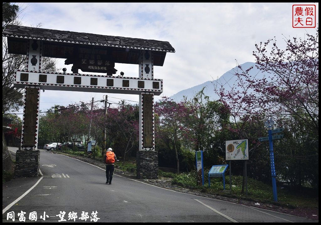 【南投景點】同富國小．望鄉部落櫻花盛開中．像是汽車廣告拍攝場景/香水櫻/一日遊 @假日農夫愛趴趴照