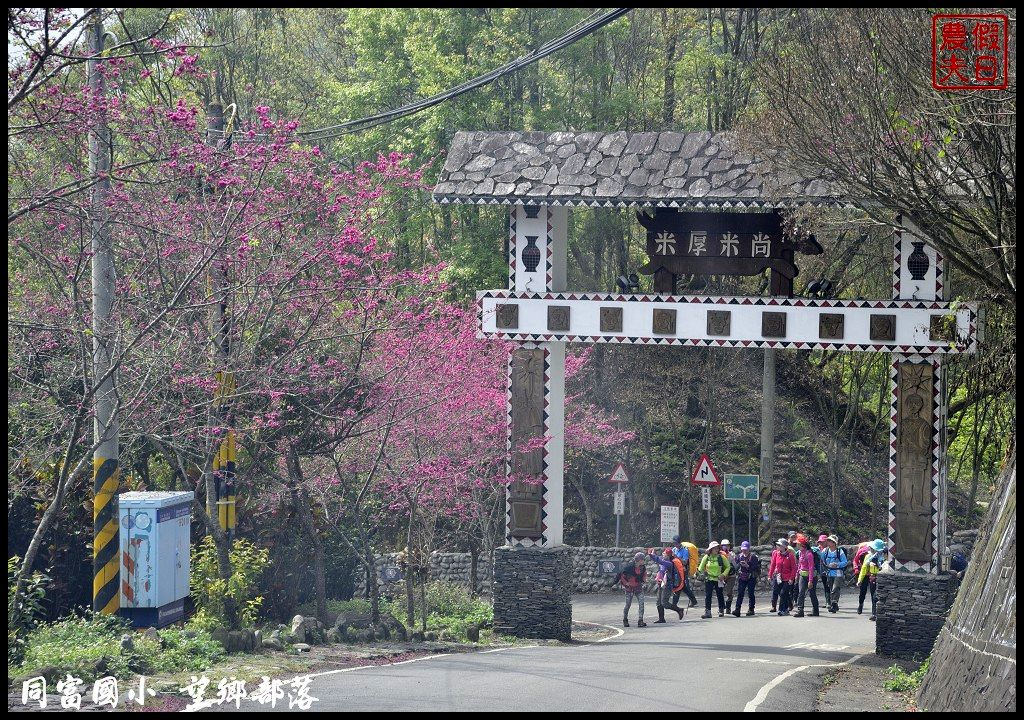 【南投景點】同富國小．望鄉部落櫻花盛開中．像是汽車廣告拍攝場景/香水櫻/一日遊 @假日農夫愛趴趴照