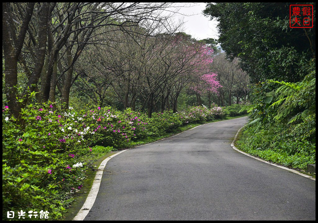 【新北市】淡水景觀餐廳．日光行館/下午茶、排餐/親子餐廳/風景優美/民宿/淡水天元宮/三芝櫻花季 @假日農夫愛趴趴照